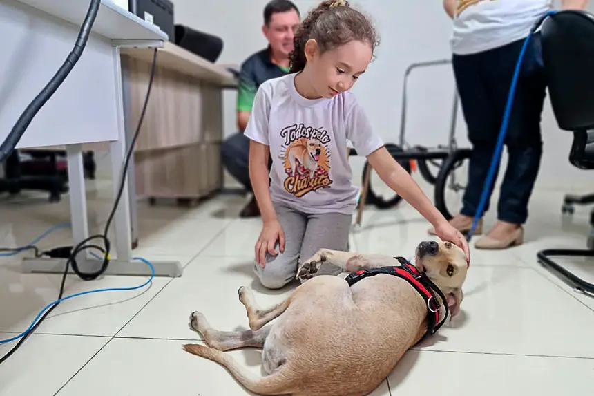 Prótese Cachorro