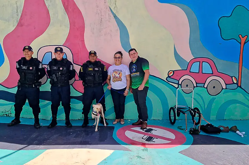 Prótese Cachorro