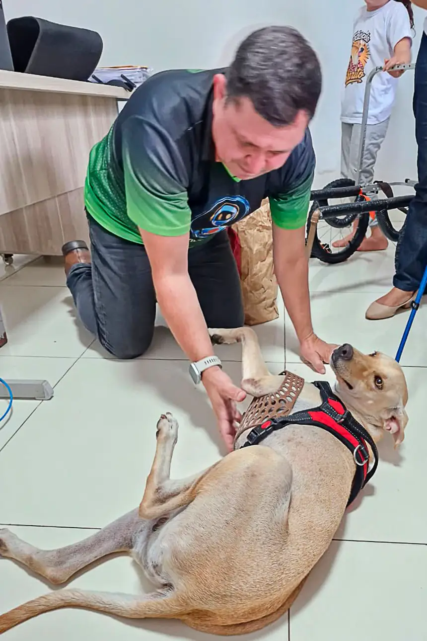 Prótese Cachorro