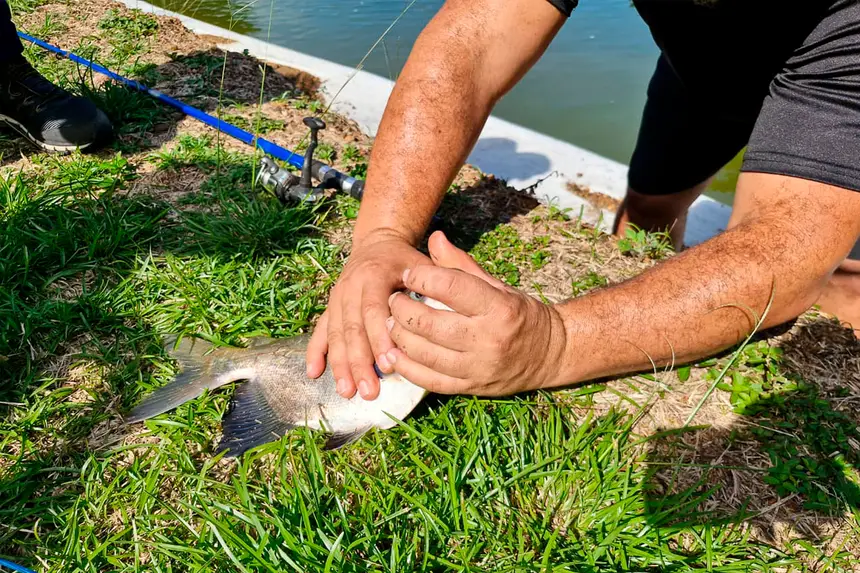 Bastidores da reportagem especial da TV Record - Record News sobre o potencial turístico e econômico de Benevides gravada no último dia 14 de Julho em diversos pontos do município.

O especial irá ao ar (em breve) na TV Record Belém e na Record News