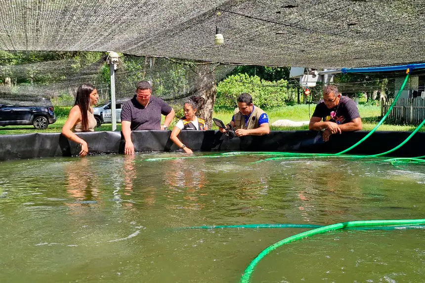 Bastidores da reportagem especial da TV Record - Record News sobre o potencial turístico e econômico de Benevides gravada no último dia 14 de Julho em diversos pontos do município.

O especial irá ao ar (em breve) na TV Record Belém e na Record News
