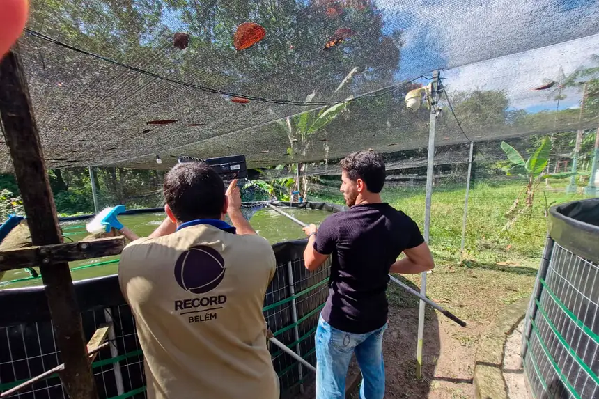 Bastidores da reportagem especial da TV Record - Record News sobre o potencial turístico e econômico de Benevides gravada no último dia 14 de Julho em diversos pontos do município.

O especial irá ao ar (em breve) na TV Record Belém e na Record News