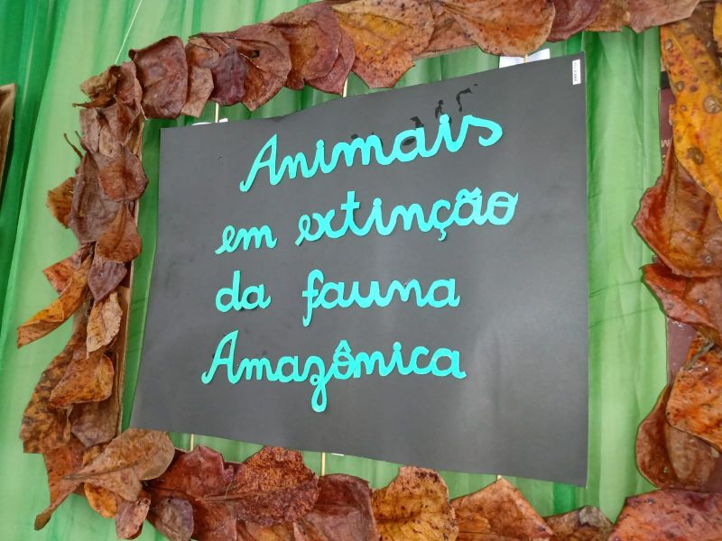 Crédito: Divulgação