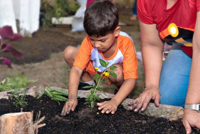notícia: Benevides recebe visita do Projeto TiNis que incentiva crianças a cultivarem espaços verdes 
