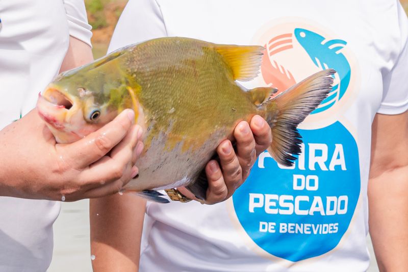 “Feira Livre do Peixe” impulsiona piscicultura urbana em Benevides