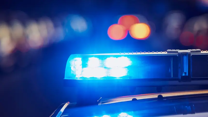 Secretaria Municipal de Meio Ambiente autua responsável por maus-tratos a animal em Benevides