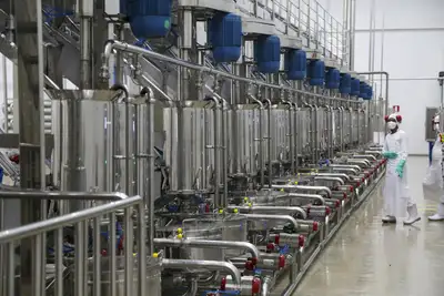 Benevides fortalece polo industrial e articula chegada de nova fábrica do setor alimentício