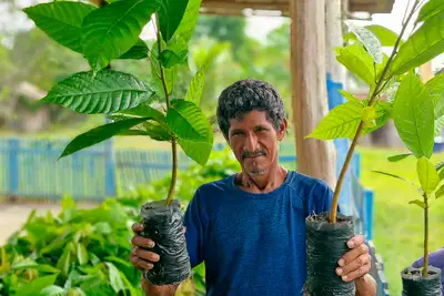 Entrega de mudas de cacau fortalece produção rural em Benevides