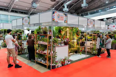 notícia: Benevides mais uma vez marca presença no Festival Chocolat Amazônia 2026